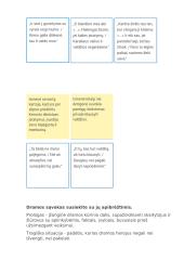 Sofoklio drama „Antigonė“: nuo literatūrologijos sąvokų iki laisvo ir kritiško žmogaus laikysenos 4 puslapis