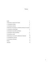 Liberalizmo pradžia 2 puslapis