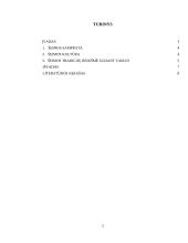 Šeimos kultūra. Šeimos tradicijų reikšmė ugdant vaikus 2 puslapis