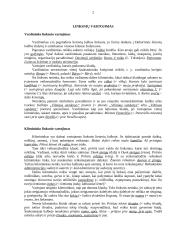 Linksnių, prielinksnių, padalyvių, pusdalyvių, dalyvių vartojimas 2 puslapis