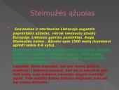 Keliaukime ir aplankykime Lietuvos saugomas teritorijas 7 puslapis