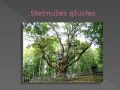 Keliaukime ir aplankykime Lietuvos saugomas teritorijas 8 puslapis
