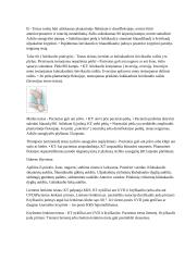 Apatinio kvadranto ištyrimas 6 puslapis