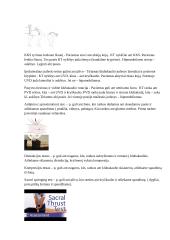 Apatinio kvadranto ištyrimas 7 puslapis