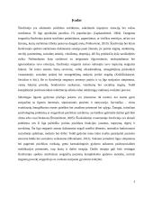 Dailės terapijos poveikis asmenims sergantiems šizofrenija 3 puslapis