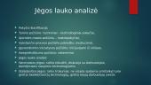 Pokyčių vadybos atvejo analizė 12 puslapis