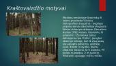 Fotonovelių konkursas ,,Gražėja Lietuva, gražėja Mickūnai’’ 6 puslapis