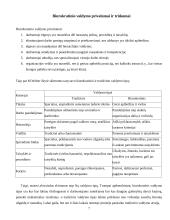 Max Weber biurokratizmo teorijos principai ir jų pasireiškimo ypatumai Lietuvos organizacijose 7 puslapis