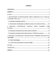 Išmaniųjų technologijų taikymas mokant(is) dailės V-VIII klasėse 2 puslapis