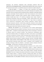 Išmaniųjų technologijų taikymas mokant(is) dailės V-VIII klasėse 12 puslapis