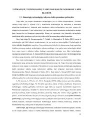 Išmaniųjų technologijų taikymas mokant(is) dailės V-VIII klasėse 14 puslapis