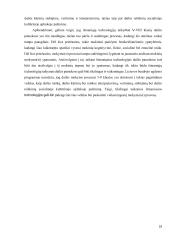 Išmaniųjų technologijų taikymas mokant(is) dailės V-VIII klasėse 19 puslapis