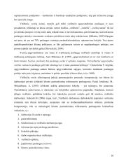 Paslaugų kokybės vertinimas ir gerinimas viešbučių pavyzdžiu 18 puslapis