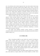 Vaikų, turinčių alkoholinį vaisiaus sindromą, raidos pokyčiai, augant Kauno kūdikių namuose  19 puslapis