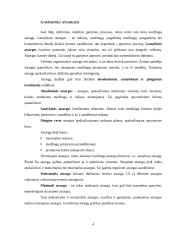 Medžiagų atsargų planavimas ir valdymas 4 puslapis