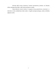 Medžiagų atsargų planavimas ir valdymas 7 puslapis