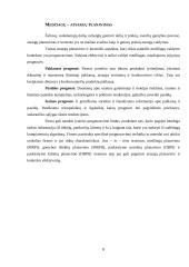 Medžiagų atsargų planavimas ir valdymas 8 puslapis