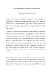 Vartotojų elgsenos projektas. Prekės ženklas – Coca-Cola 2 puslapis