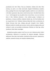 Vartotojų elgsenos projektas. Prekės ženklas – Coca-Cola 7 puslapis