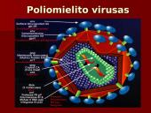 Virusų ląstelės 3 puslapis