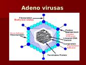 Virusų ląstelės 4 puslapis