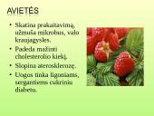 Vaistažolės ir jų ypatumai 11 puslapis