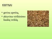 Vaistažolės ir jų ypatumai 13 puslapis