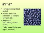 Vaistažolės ir jų ypatumai 16 puslapis