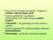 Vaistažolės ir jų ypatumai 3 puslapis