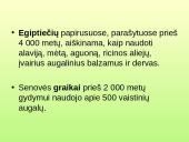 Vaistažolės ir jų ypatumai 4 puslapis