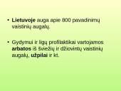 Vaistažolės ir jų ypatumai 5 puslapis