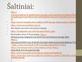 Lankytinos vietos Tauragėje 11 puslapis