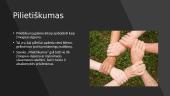 Pilietiškumo pavyzdžiai Lietuvos istorijoje 2 puslapis