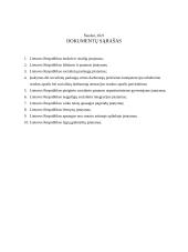 Dokumentų analizės ataskaita 2 puslapis