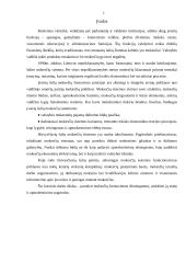 Mokesčiai, jų esmė, funkcijos, klasifikavimas 3 puslapis