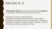Kirtis ir priegaidės 13 puslapis
