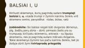 Kirtis ir priegaidės 9 puslapis
