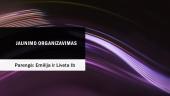 Jaunimo organizavimas