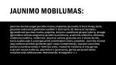 Jaunimo organizavimas 2 puslapis