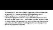 Jaunimo organizavimas 4 puslapis