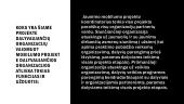 Jaunimo organizavimas 5 puslapis