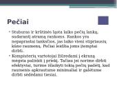 Kompiuteris bei žmogaus sveikata 6 puslapis