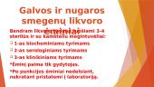 Ėminių rūšys ir priemonių reikalingų ėminiams paimti paruošimo principai 19 puslapis