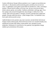 Kas teikia žmogui ramybę? 2 puslapis