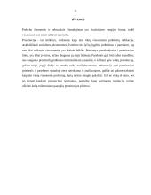 Nepilnamečių prostitucija 11 puslapis