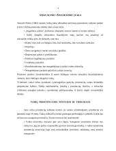 Nepilnamečių prostitucija 4 puslapis