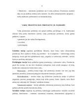 Nepilnamečių prostitucija 6 puslapis