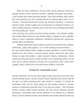 Nepilnamečių prostitucija 8 puslapis