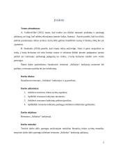 Restorano „Sušiukas“ lankytojai ir jų poreikiai 2 puslapis