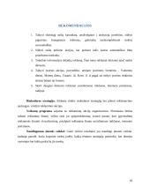 Restorano „Sušiukas“ lankytojai ir jų poreikiai 18 puslapis